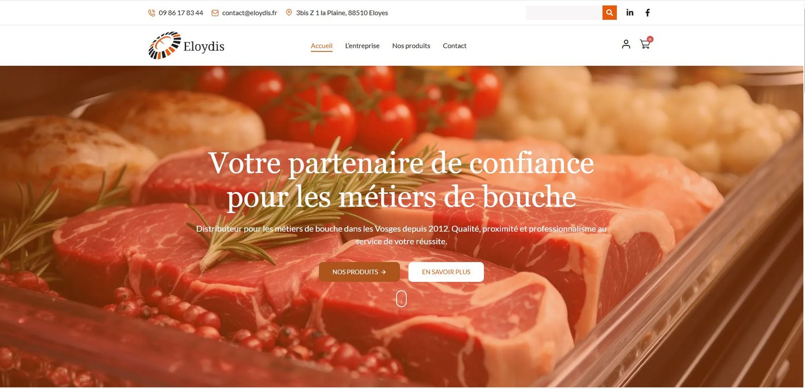 Site vitrine réalisé par Arkin Studio pour Eloydis